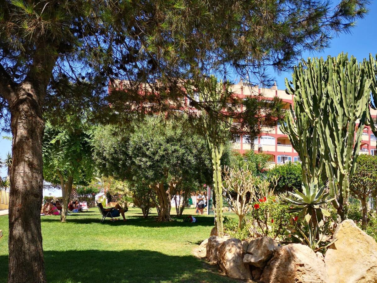 Studio With Terrace And Pool Torrevieja Eksteriør billede
