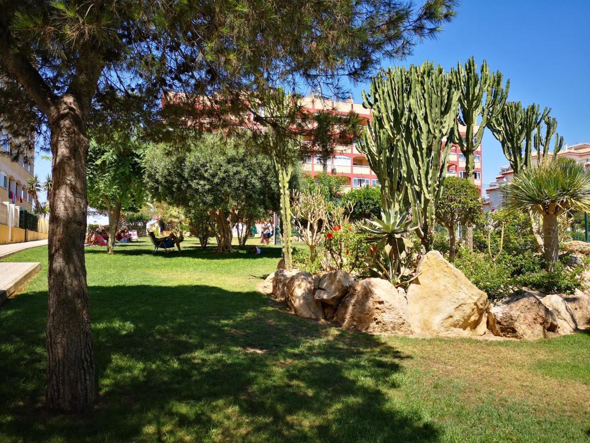 Studio With Terrace And Pool Torrevieja Eksteriør billede